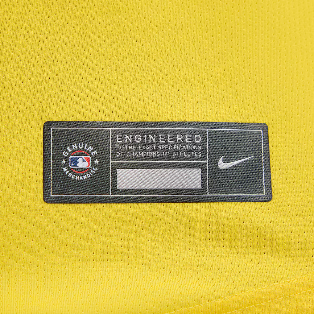 Youth Boston Red Sox David Ortiz City Connect Replica Player Jersey